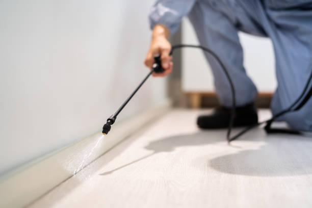 Licensed Mosquito Control service in Troy, NC - Show Me Pest Control