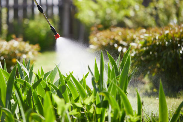 24/7 Emergency Mosquito Control experts in Troy, NC
